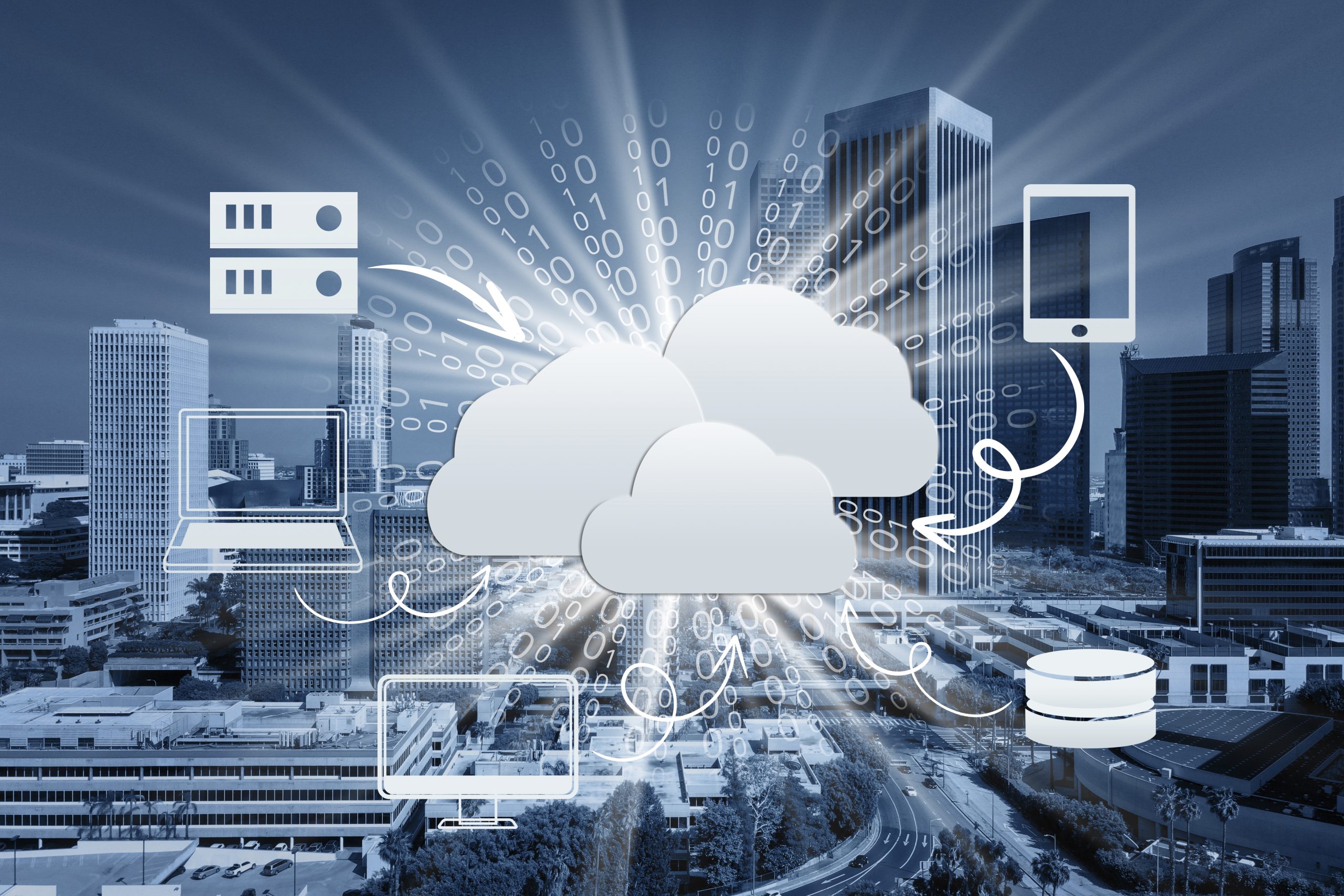 Local or Cloud Hosting